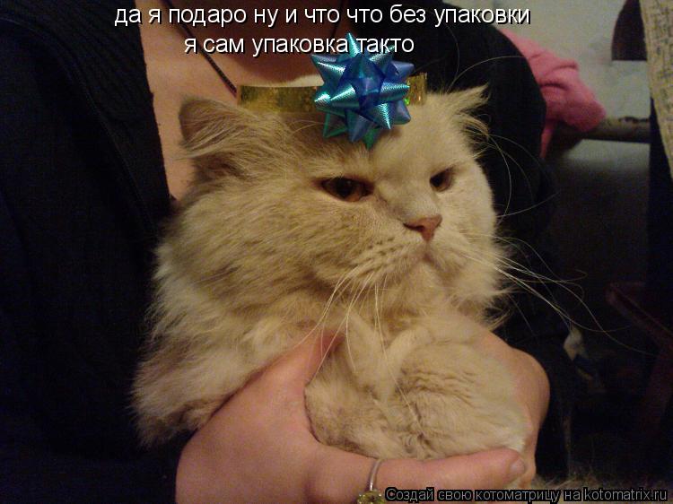 да я подаро ну и что что без упаковки я сам упаковка такто... Котоматрица: да я подаро ну и что что без упаковки я сам упаковка такто