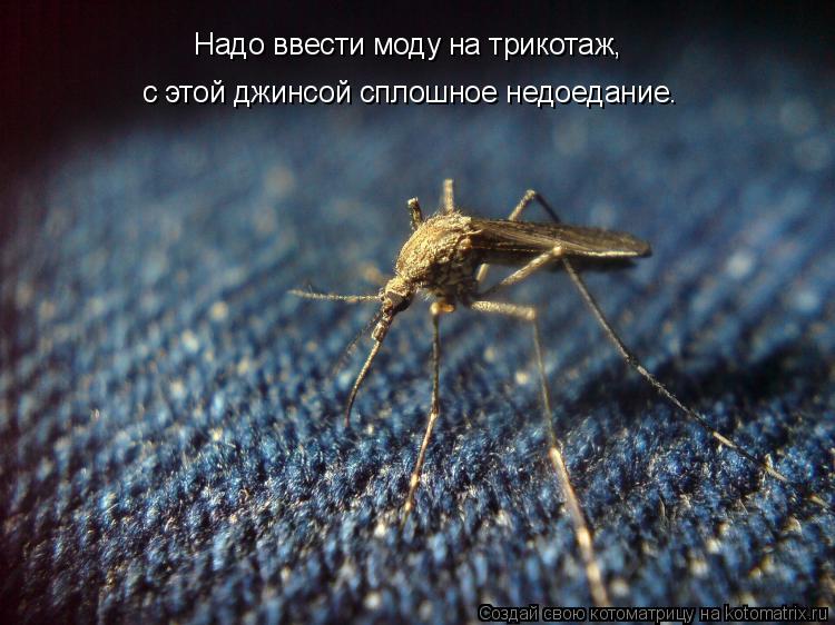 Надо ввести моду на трикотаж, с этой джинсой сплошное недоедание.... Котоматрица: Надо ввести моду на трикотаж, с этой джинсой сплошное недоедание.