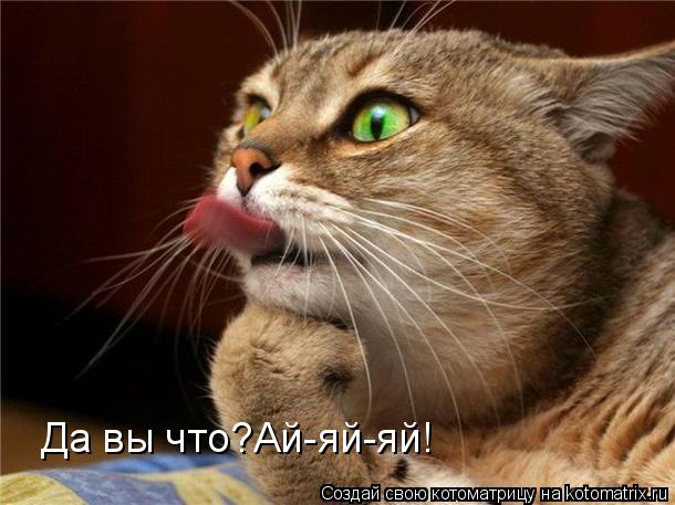 Да вы что?Ай-яй-яй!... Котоматрица: Да вы что?Ай-яй-яй!