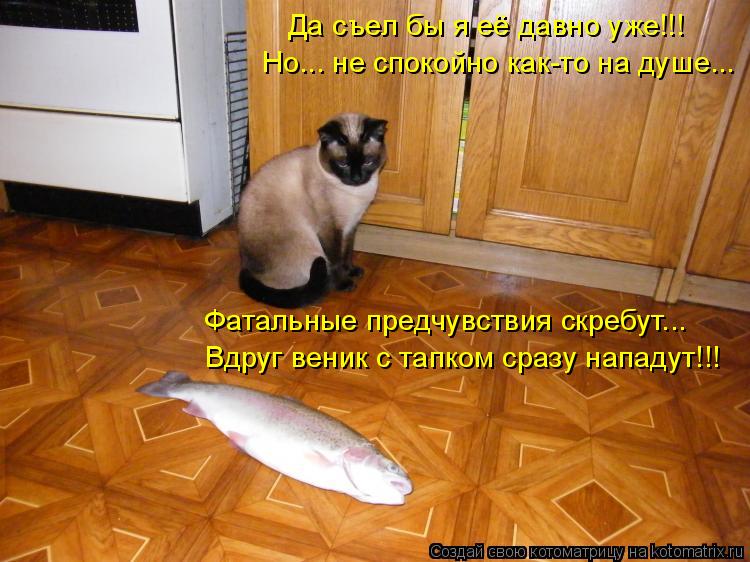Да съел бы я её давно уже!!! Но... не спокойно как-то на душе... Фатальные предчувствия скребут... Вд... Котоматрица: Да съел бы я её давно уже!!! Но... не спокойно как-то на душе... Фатальные предчувствия скребут... Вдруг веник с тапком сразу нападут!!!