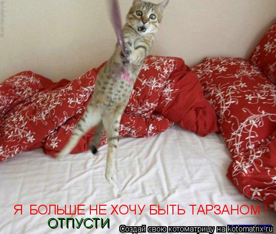 Я БОЛЬШЕ НЕ ХОЧУ БЫТЬ ТАРЗАНОМ ! ОТПУСТИ... Котоматрица: Я БОЛЬШЕ НЕ ХОЧУ БЫТЬ ТАРЗАНОМ ! ОТПУСТИ