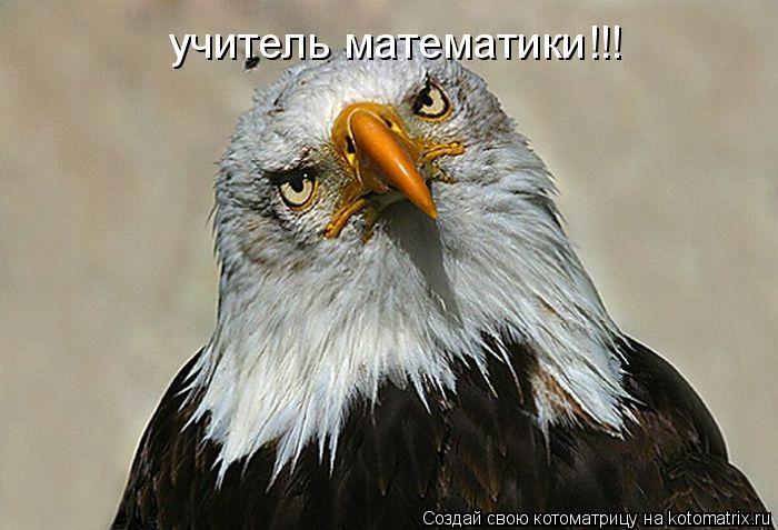 учитель математики!!!... Котоматрица: учитель математики!!!