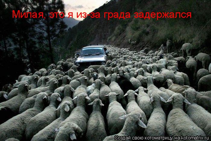Милая, это я из-за града задержался... Котоматрица: Милая, это я из-за града задержался