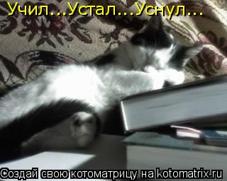 Учил ... Учил...Устал...Уснул...... Котоматрица: Учил ... Учил...Устал...Уснул...