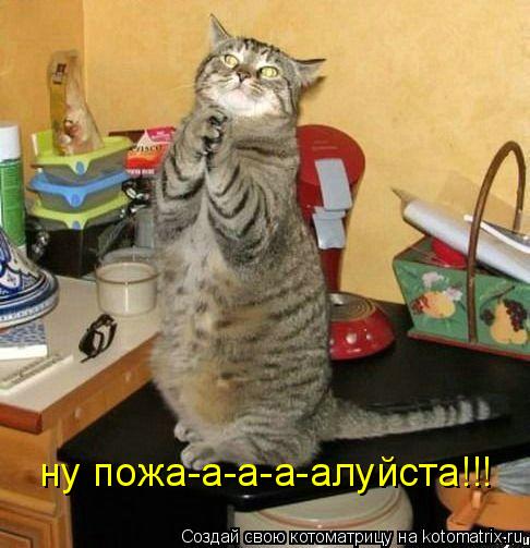 ну пожа-а-а-а-алуйста!!!... Котоматрица: ну пожа-а-а-а-алуйста!!!