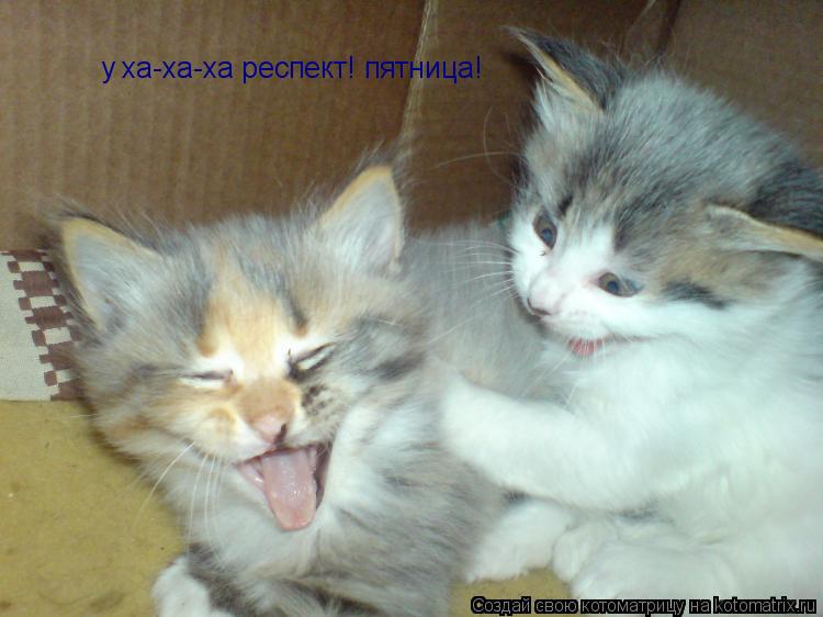 у ха-ха-ха респект! пятница!... Котоматрица: у ха-ха-ха респект! пятница!