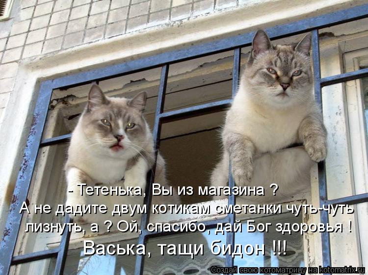 Котоматрица: А не дадите двум котикам сметанки чуть-чуть  лизнуть, а ? Ой, спасибо, дай Бог здоровья ! Васька, тащи бидон !!! - Тетенька, Вы из магазина ?