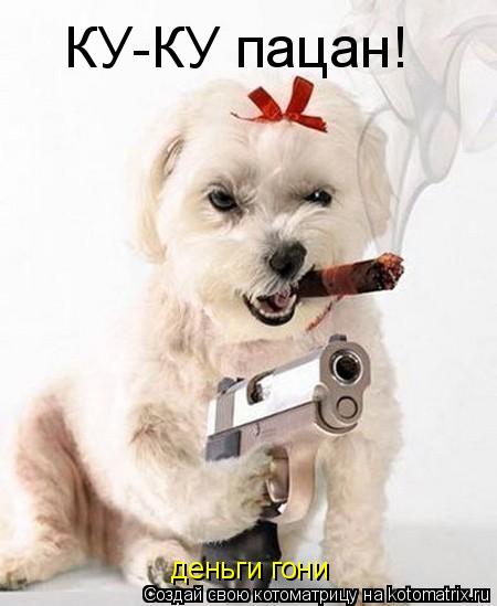 КУ-КУ пацан! деньги гони... Котоматрица: КУ-КУ пацан! деньги гони