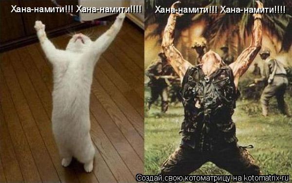 Хана-намити!!! Хана-намити!!!! Хана-намити!!! Хана-намити!!!!... Котоматрица: Хана-намити!!! Хана-намити!!!! Хана-намити!!! Хана-намити!!!!