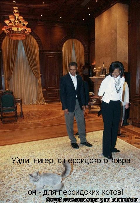 Уйди, нигер, с персидского ковра он - для персидских котов!... Котоматрица: Уйди, нигер, с персидского ковра он - для персидских котов!