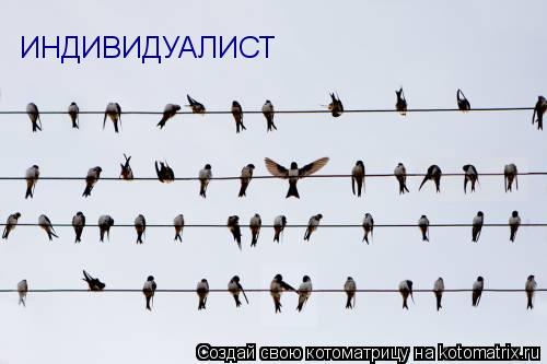 ИНДИВИДУАЛИСТ... Котоматрица: ИНДИВИДУАЛИСТ