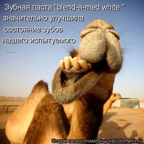Зубная паста "blend-a-med white " значительно улучшила состояние зубов нашего испытуемого ......... Котоматрица: Зубная паста "blend-a-med white " значительно улучшила состояние зубов нашего испытуемого ......