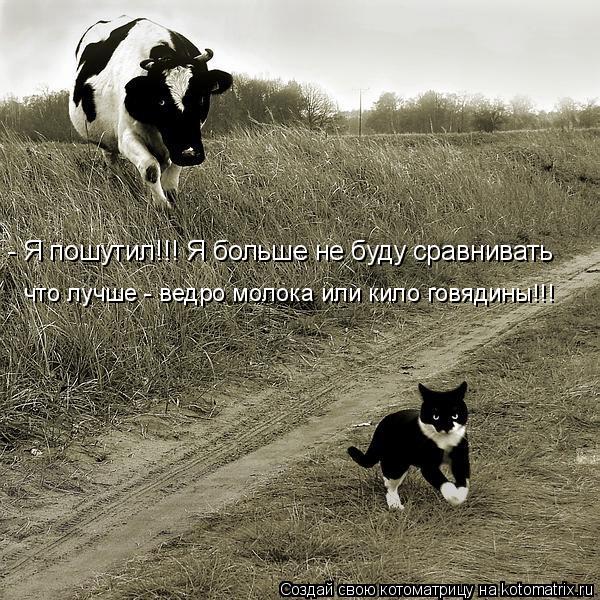 - Я пошутил!!! Я больше не буду сравнивать что лучше - ведро молока или кило говядины!!!... Котоматрица: - Я пошутил!!! Я больше не буду сравнивать что лучше - ведро молока или кило говядины!!!