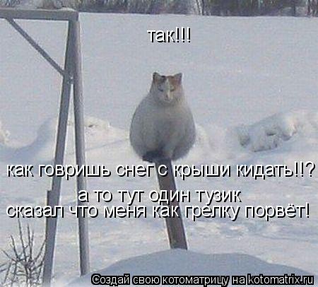 так!!! как говришь снег с крыши кидать!!? а то тут один тузик сказал что меня как грелку порвёт!... Котоматрица: так!!! как говришь снег с крыши кидать!!? а то тут один тузик сказал что меня как грелку порвёт!