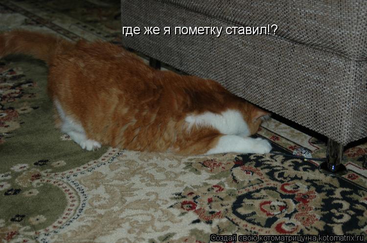 где же я пометку ставил!?... Котоматрица: где же я пометку ставил!?