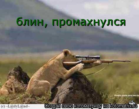 блин, промахнулся блин, промахнулся... Котоматрица: блин, промахнулся блин, промахнулся