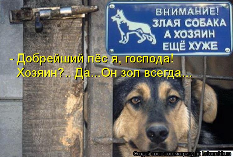 - Добрейший пёс я, господа! Хозяин?.. Да...Он зол всегда...... Котоматрица: - Добрейший пёс я, господа! Хозяин?.. Да...Он зол всегда...