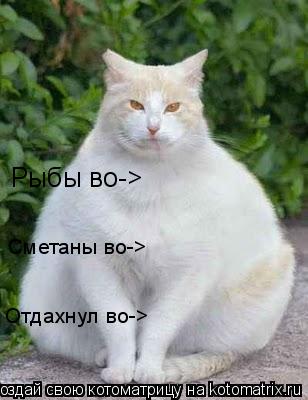 Рыбы во-> Сметаны во-> Отдахнул во->... Котоматрица: Рыбы во-> Сметаны во-> Отдахнул во->