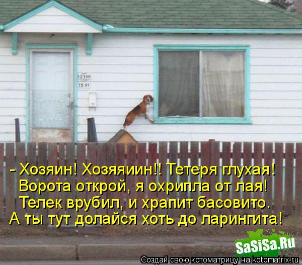 - Хозяин! Хозяяиин!! Тетеря глухая! Ворота открой, я охрипла от лая! Телек врубил, и храпит басовит... Котоматрица: - Хозяин! Хозяяиин!! Тетеря глухая! Ворота открой, я охрипла от лая! Телек врубил, и храпит басовито. А ты тут долайся хоть до ларингита!
