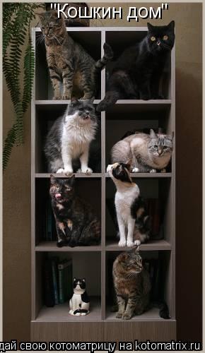 "Кошкин дом"... Котоматрица: "Кошкин дом"