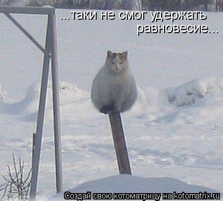 ...таки не смог удержать равновесие...... Котоматрица: ...таки не смог удержать равновесие...