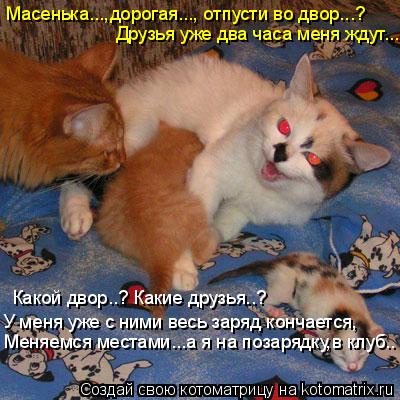 Масенька...,дорогая..., отпусти во двор...? Друзья уже два часа меня ждут... Какой двор..? Какие друз... Котоматрица: Масенька...,дорогая..., отпусти во двор...? Друзья уже два часа меня ждут... Какой двор..? Какие друзья..? У меня уже с ними весь заряд кончается, Ме