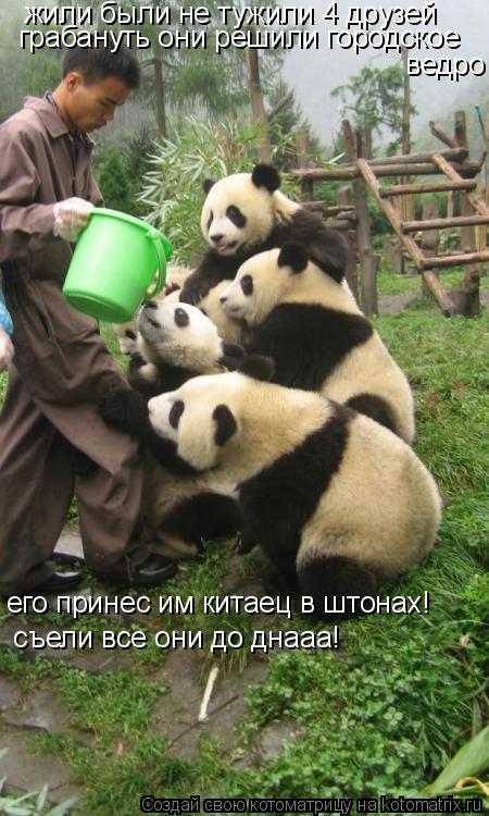 жили были не тужили 4 друзей ведро грабануть они решили городское его принес им китаец в штонах! съ... Котоматрица: жили были не тужили 4 друзей ведро грабануть они решили городское его принес им китаец в штонах! съели все они до днааа!