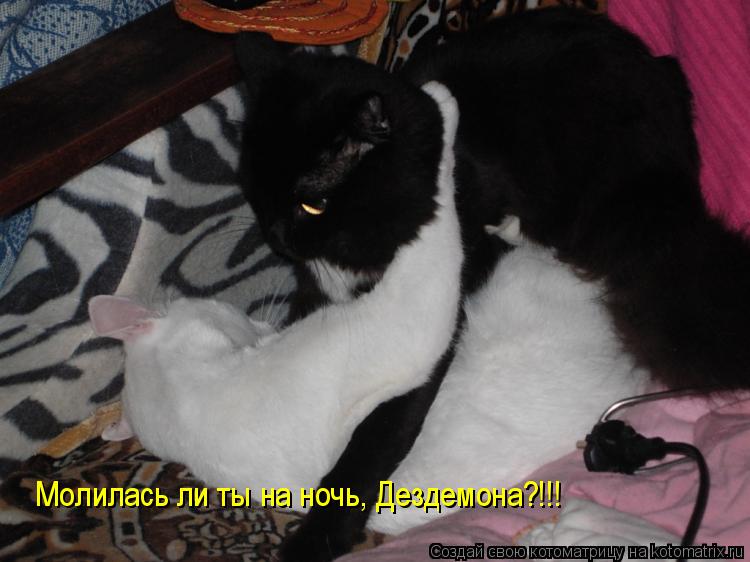 Молилась ли ты на ночь, Дездемона?!!!... Котоматрица: Молилась ли ты на ночь, Дездемона?!!!