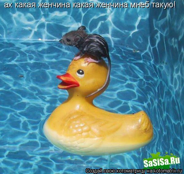 ах какая женчина какая ах какая женчина какая женчина мнеб такую!... Котоматрица: ах какая женчина какая ах какая женчина какая женчина мнеб такую!