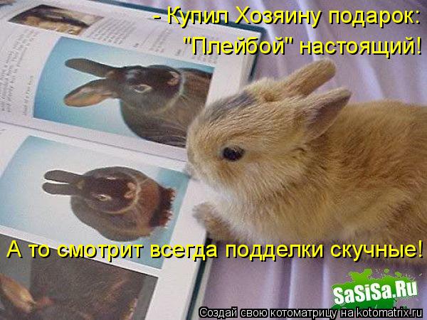 - Купил Хозяину подарок: "Плейбой" настоящий! А то смотрит всегда подделки скучные!... Котоматрица: - Купил Хозяину подарок: "Плейбой" настоящий! А то смотрит всегда подделки скучные!