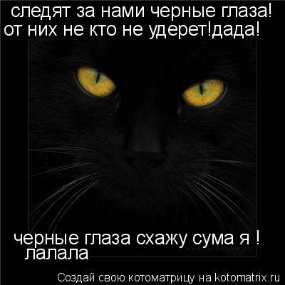 следят за нами черные глаза! от них не кто не удерет!дада! черные глаза схажу сума я ! лалала... Котоматрица: следят за нами черные глаза! от них не кто не удерет!дада! черные глаза схажу сума я ! лалала
