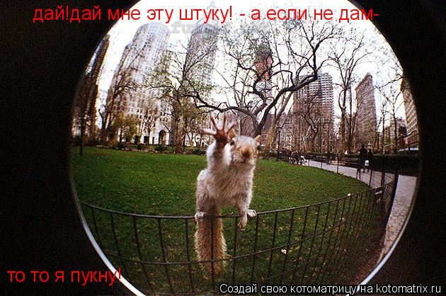 дай!дай мне эту штуку! - а если не дам- то то я пукну!... Котоматрица: дай!дай мне эту штуку! - а если не дам- то то я пукну!