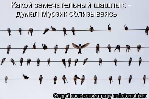 Какой замечательный шашлык: - думал Мурзик облизываясь.... Котоматрица: Какой замечательный шашлык: - думал Мурзик облизываясь.