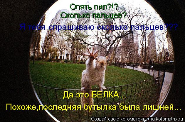 Опять пил?!? Сколько пальцев? Я тебя спрашиваю сколько пальцев??? Да это БЕЛКА... Похоже,последняя бу... Котоматрица: Опять пил?!? Сколько пальцев? Я тебя спрашиваю сколько пальцев??? Да это БЕЛКА... Похоже,последняя бутылка была лишней...