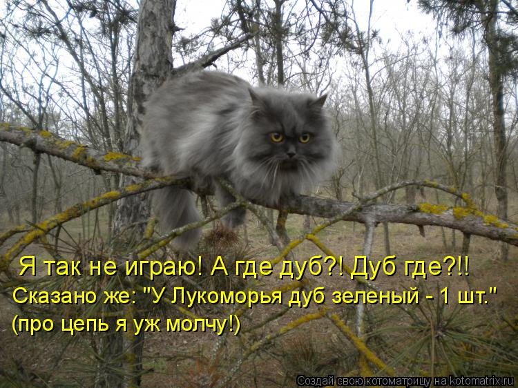 Я так не играю! А где дуб?! Дуб где?!! Сказано же: "У Лукоморья дуб зеленый - 1 шт." (про цепь я уж м... Котоматрица: Я так не играю! А где дуб?! Дуб где?!! Сказано же: "У Лукоморья дуб зеленый - 1 шт." (про цепь я уж молчу!)