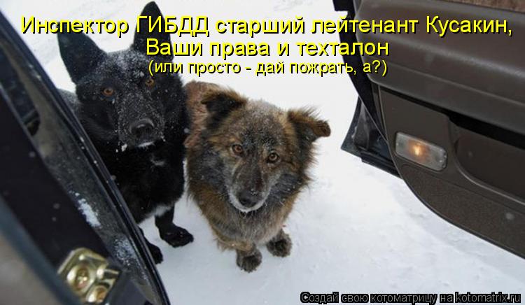 Инспектор ГИБДД старший лейтенант Кусакин, Ваши права и техталон (или просто - дай пожрать, а?)... Котоматрица: Инспектор ГИБДД старший лейтенант Кусакин, Ваши права и техталон (или просто - дай пожрать, а?)