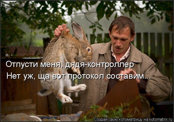 Отпусти меня, дядя-контроллер Нет уж, ща вот протокол составим...... Котоматрица: Отпусти меня, дядя-контроллер Нет уж, ща вот протокол составим...
