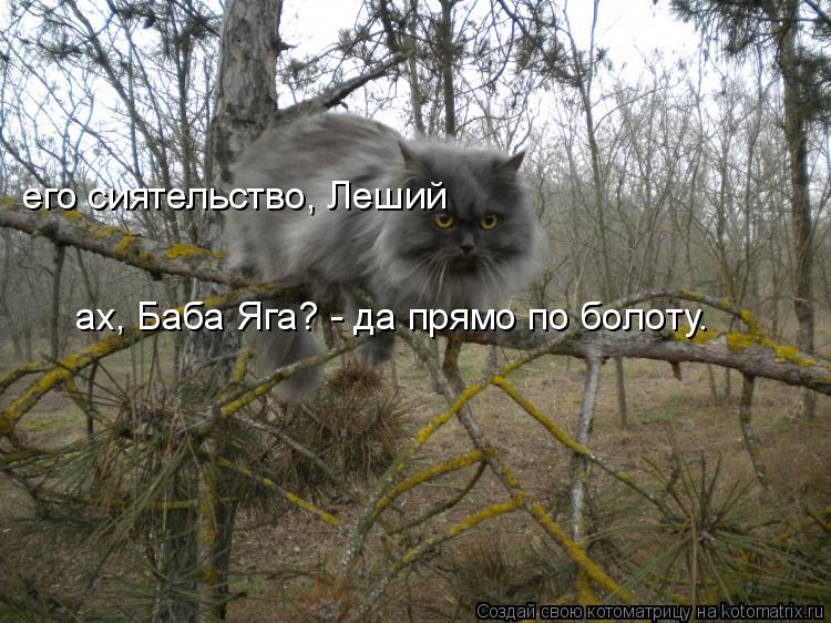 ах, Баба Яга? - да прямо по болоту. его сиятельство, Леший... Котоматрица: ах, Баба Яга? - да прямо по болоту. его сиятельство, Леший