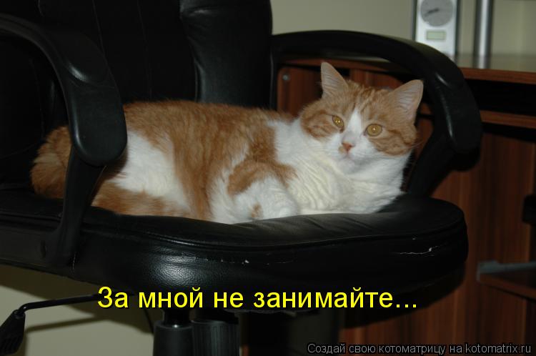 За мной не занимайте...... Котоматрица: За мной не занимайте...