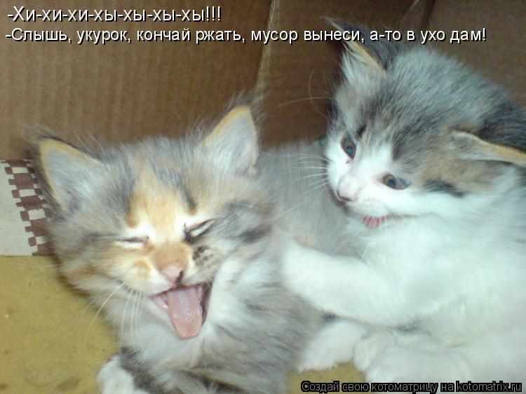 -Хи-хи-хи-хы-хы-хы-хы!!! -Слышь, укурок, кончай ржать, мусор вынеси, а-то в ухо дам!... Котоматрица: -Хи-хи-хи-хы-хы-хы-хы!!! -Слышь, укурок, кончай ржать, мусор вынеси, а-то в ухо дам!