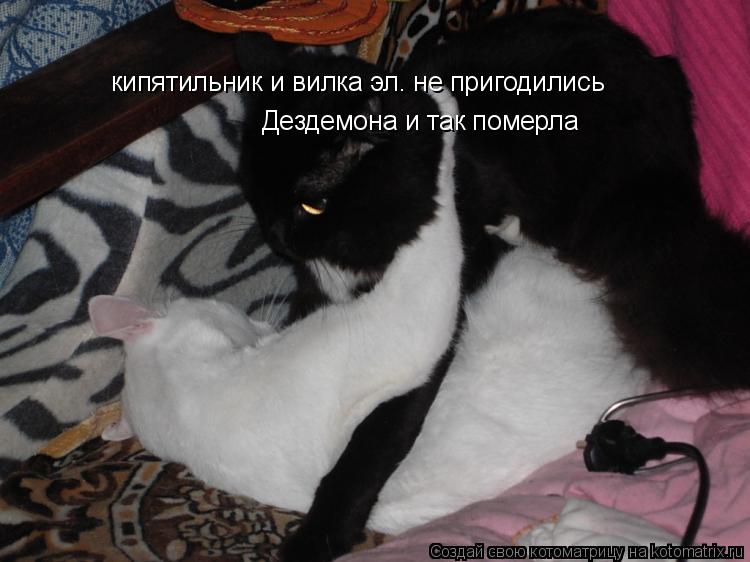 кипятильник и вилка эл. не пригодились Дездемона и так померла... Котоматрица: кипятильник и вилка эл. не пригодились Дездемона и так померла