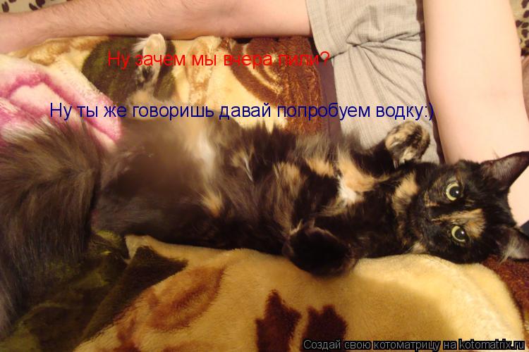 Ну зачем мы вчера пили? Ну ты же говоришь давай попробуем водку:)... Котоматрица: Ну зачем мы вчера пили? Ну ты же говоришь давай попробуем водку:)