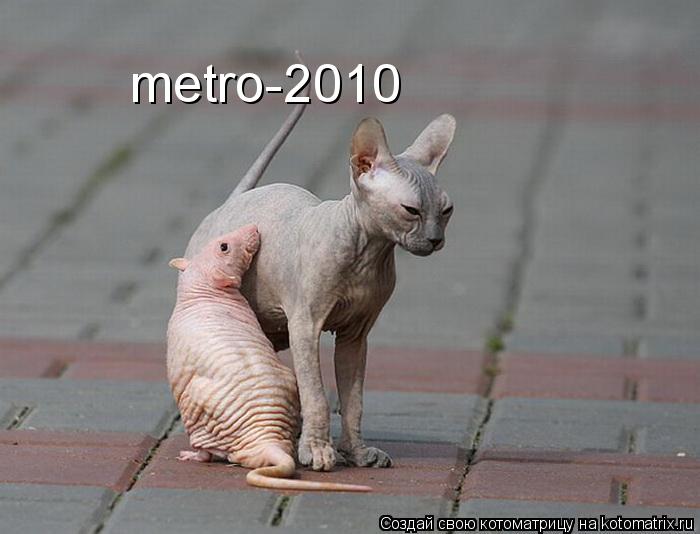 metro-2010... Котоматрица: metro-2010
