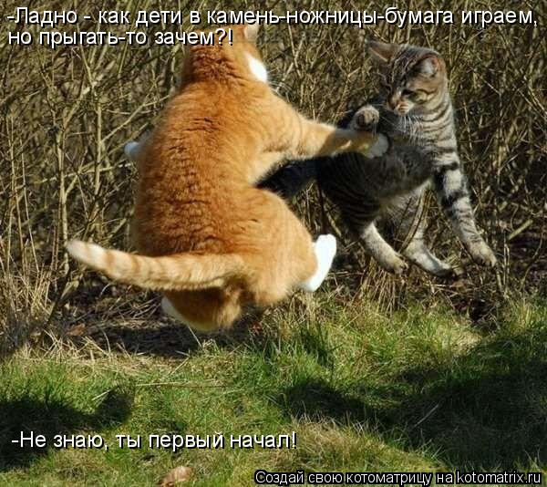 -Ладно - как дети в камень-ножницы-бумага играем, но прыгать-то зачем?! -Не знаю, ты первый начал!... Котоматрица: -Ладно - как дети в камень-ножницы-бумага играем, но прыгать-то зачем?! -Не знаю, ты первый начал!
