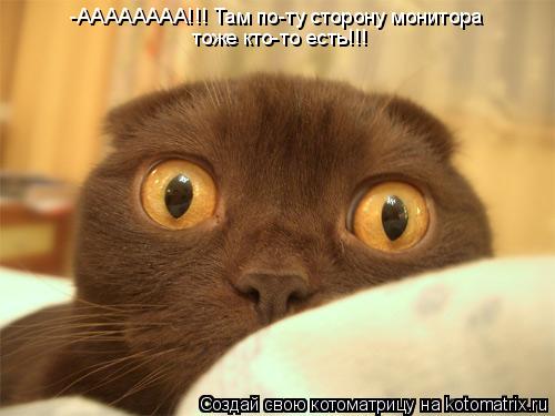 -АААААААА!!! Там по-ту сторону монитора тоже кто-то есть!!!... Котоматрица: -АААААААА!!! Там по-ту сторону монитора тоже кто-то есть!!!