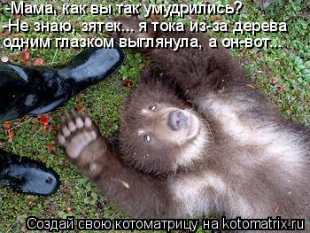 -Мама, как вы так умудрились? -Не знаю, зятек... я тока из-за дерева одним глазком выглянула, а он-во... Котоматрица: -Мама, как вы так умудрились? -Не знаю, зятек... я тока из-за дерева одним глазком выглянула, а он-вот...