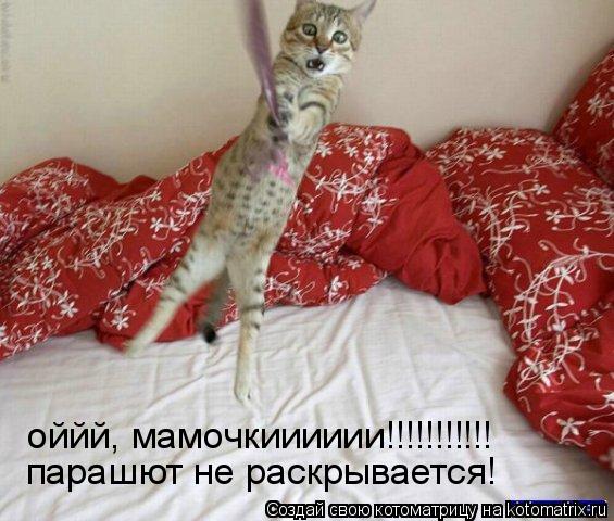 оййй, мамочкииииии!!!!!!!!!!! парашют не раскрывается!... Котоматрица: оййй, мамочкииииии!!!!!!!!!!! парашют не раскрывается!