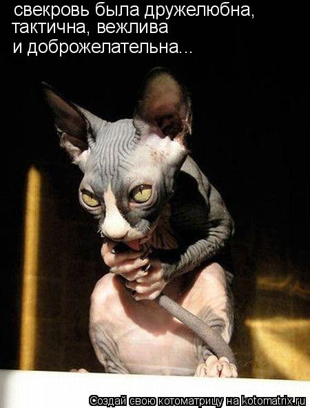 свекровь была дружелюбна, тактична, вежлива и доброжелательна...... Котоматрица: свекровь была дружелюбна, тактична, вежлива и доброжелательна...