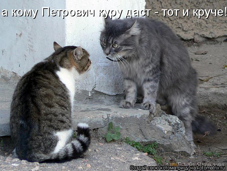 а кому Петрович куру даст - тот и круче!... Котоматрица: а кому Петрович куру даст - тот и круче!