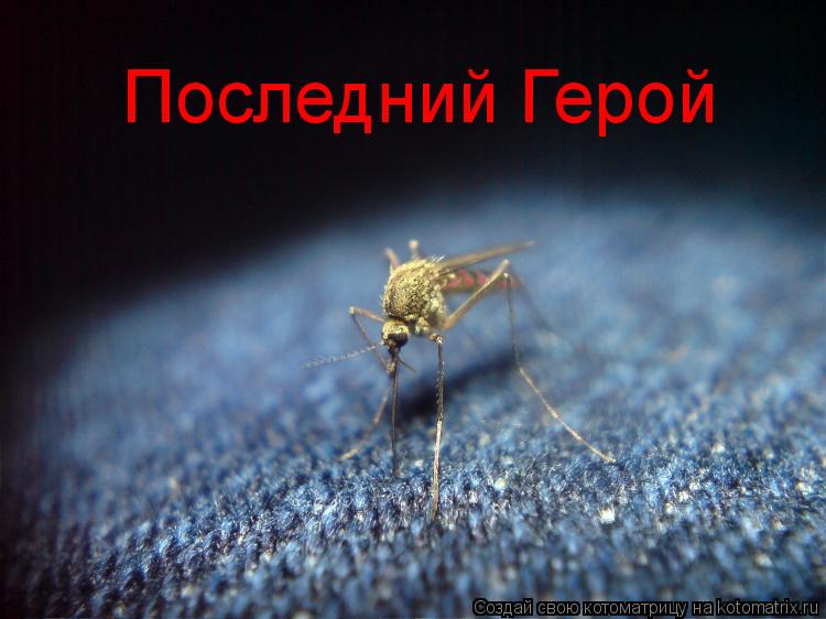 Последний Герой... Котоматрица: Последний Герой